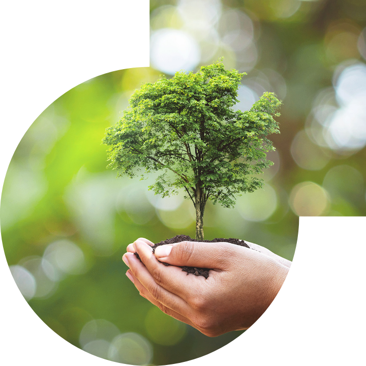 关怀人类、文化、环境与社会